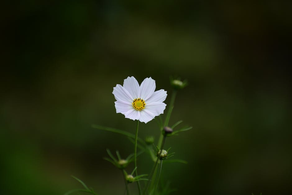 쏘나타 자동차 성능 및 제원