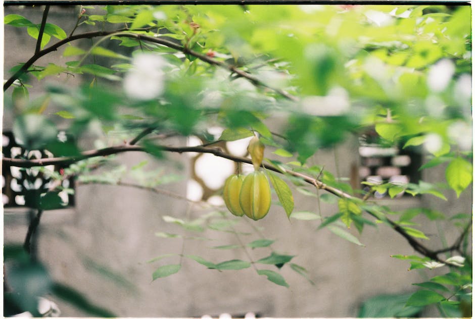 트위지 자동차 가격과 연비 1