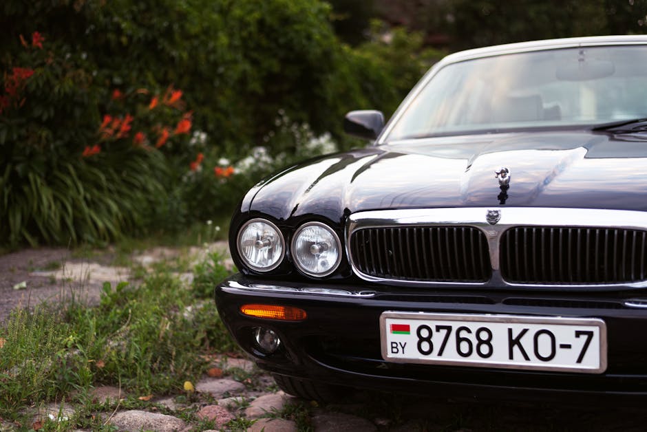 XJR 자동차 신차 렌트카 중고차