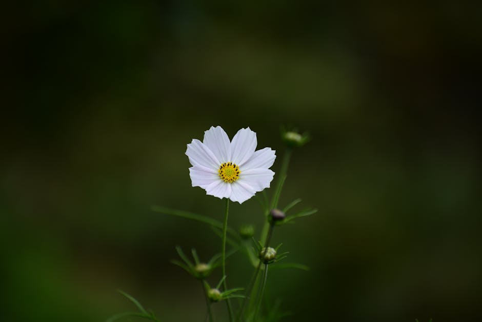 소나타 자동차 성능과 연비 제원