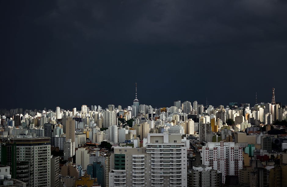 스카이라인 자동차 동호회 및 정보공유