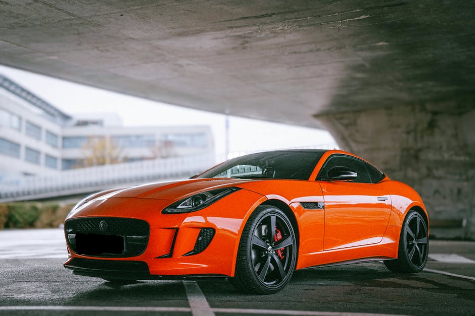 F TYPE 자동차 신차 렌트카 중고차