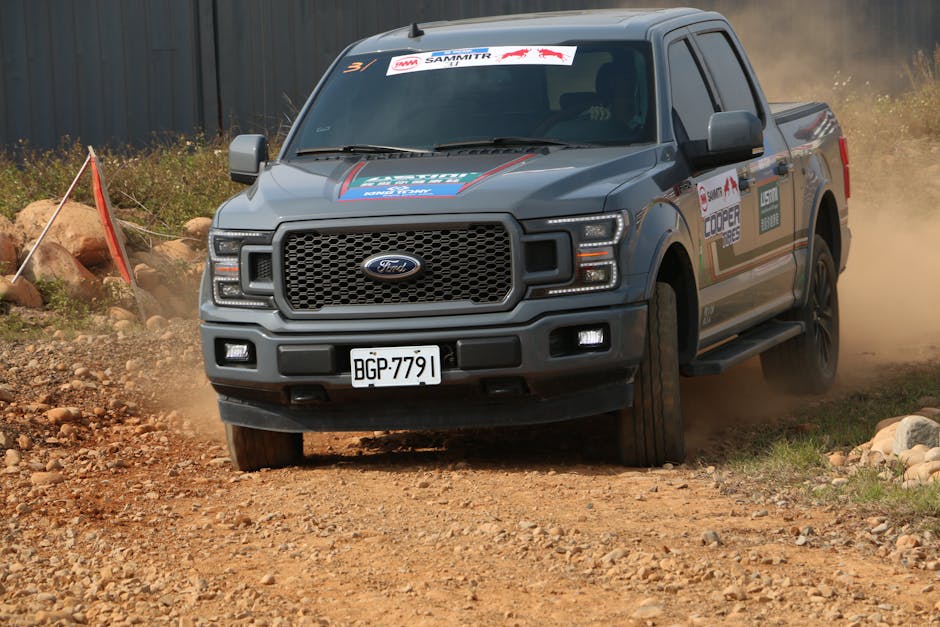 F150 자동차 신차 렌트카 중고차