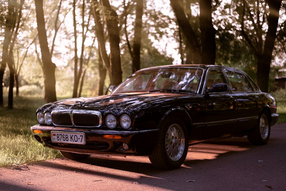 XJR 자동차 가격과 연비