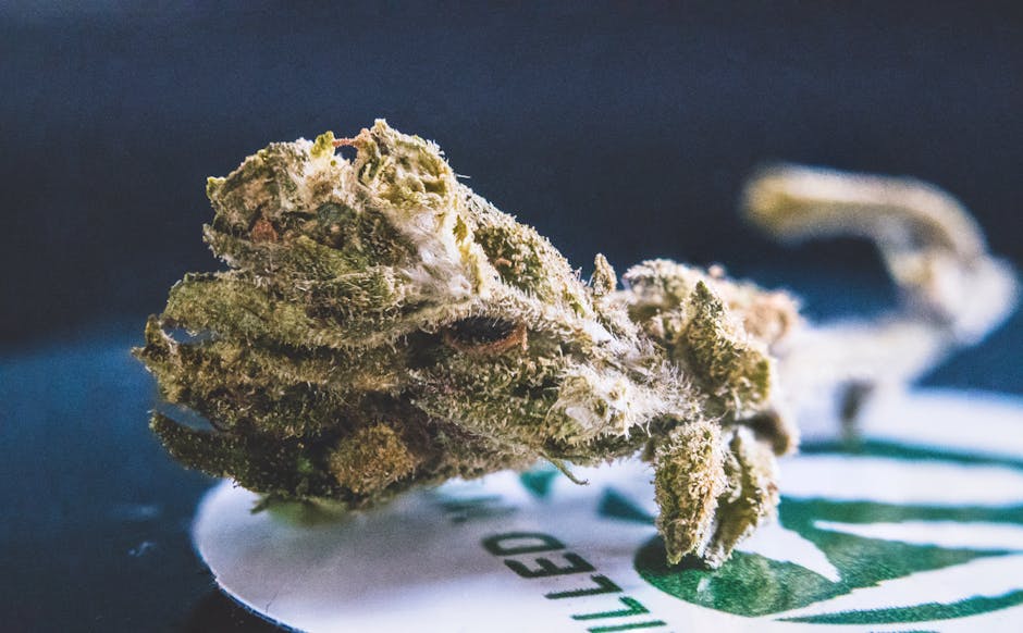 420i 쿠페 자동차 중고차
