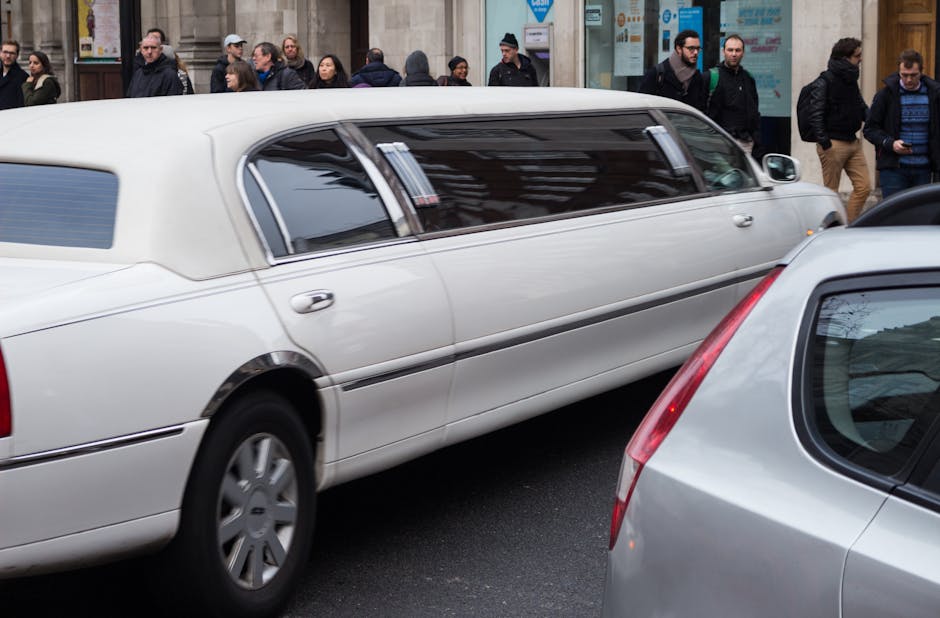 S600L 리무진 자동차 가격과 연비