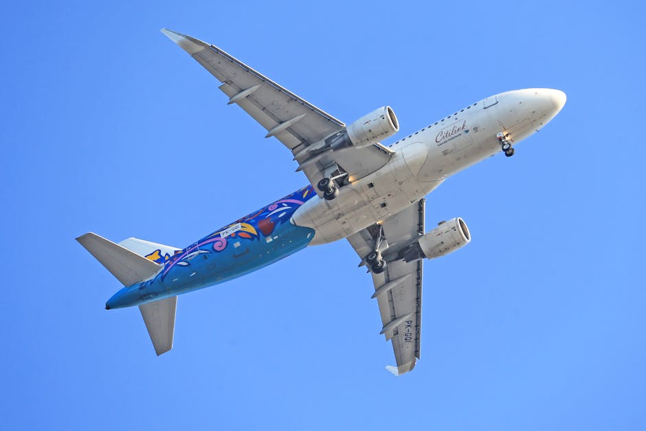 A220 해치백 자동차 신차 렌트카 중고차