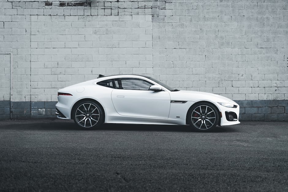 F TYPE 자동차 동호회 및 정보공유
