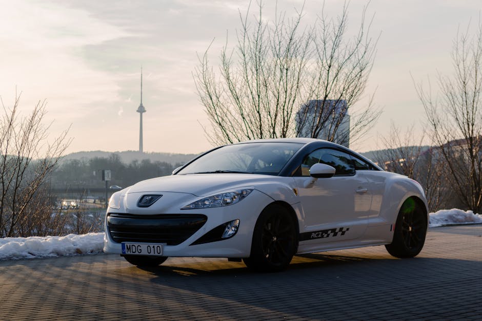 RCZ 자동차 경고등