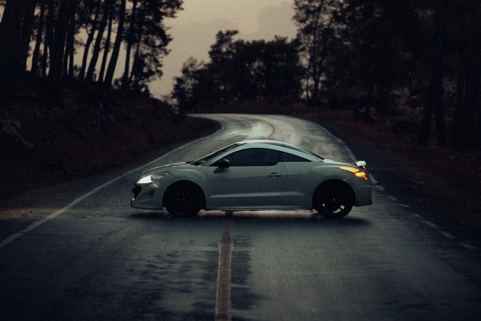 RCZ 자동차 동호회 및 정보공유