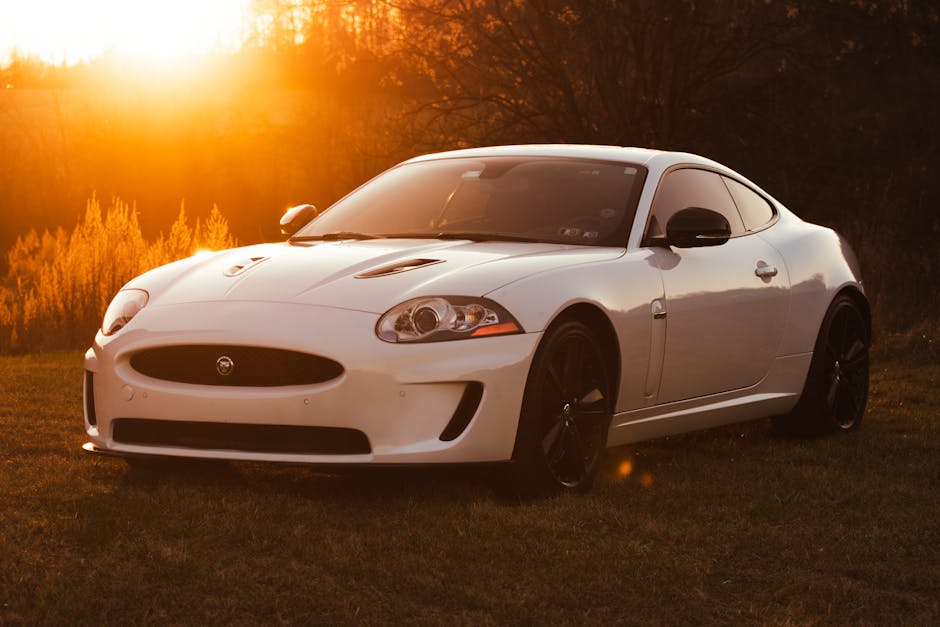 XKR 자동차 중고차